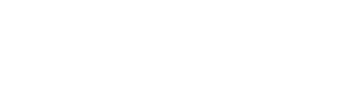Gold Partner